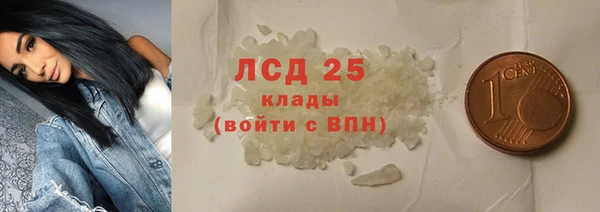 шишки Мурманск