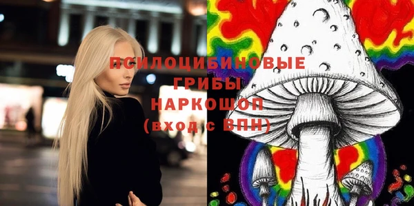 spice Лабытнанги